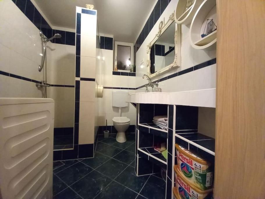 Nice Apartment Near By Capital Of Slovenia Λιουμπλιάνα Εξωτερικό φωτογραφία