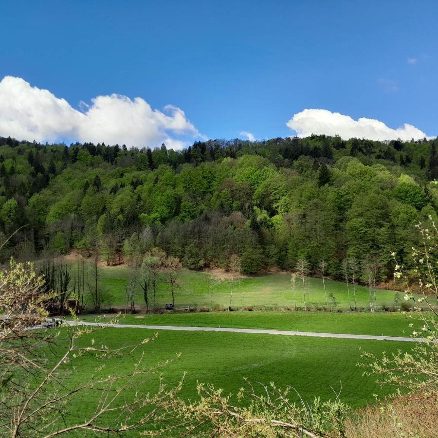 Nice Apartment Near By Capital Of Slovenia Λιουμπλιάνα Εξωτερικό φωτογραφία