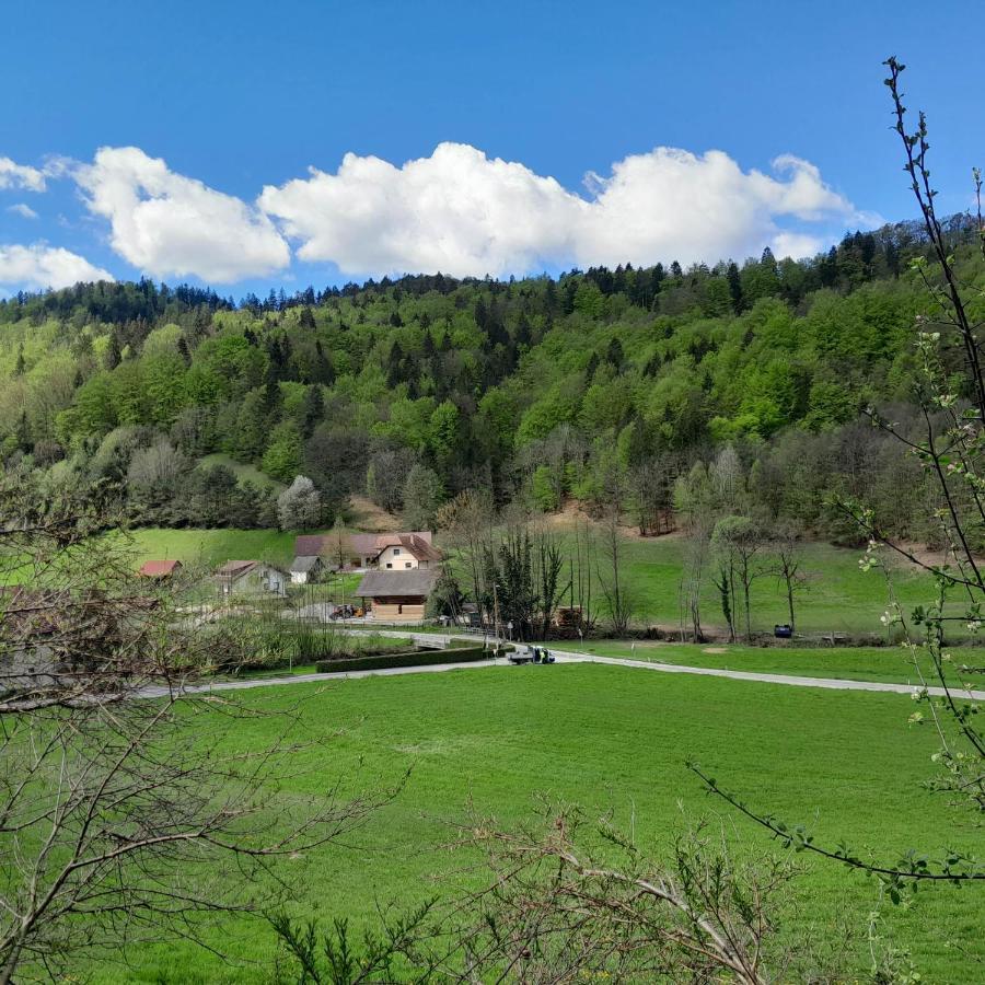 Nice Apartment Near By Capital Of Slovenia Λιουμπλιάνα Εξωτερικό φωτογραφία